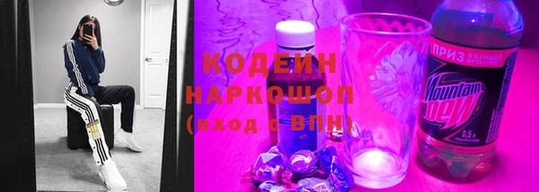 индика Арсеньев