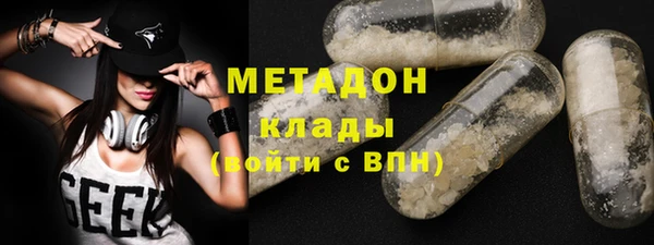 индика Арсеньев