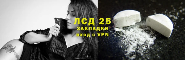 индика Арсеньев
