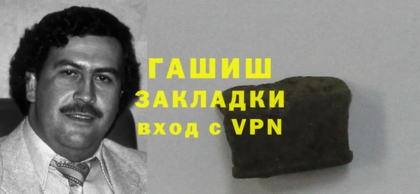 индика Арсеньев