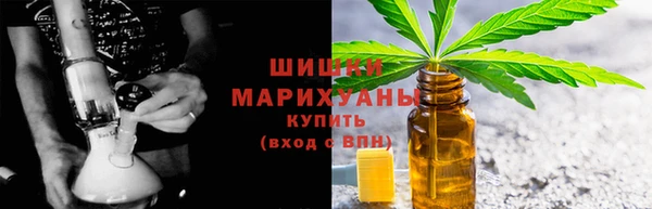 индика Арсеньев