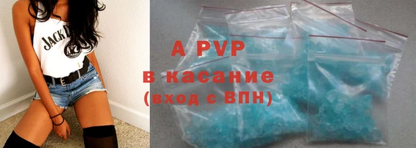 индика Арсеньев