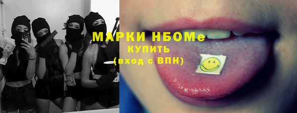 индика Арсеньев