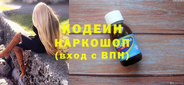 индика Арсеньев