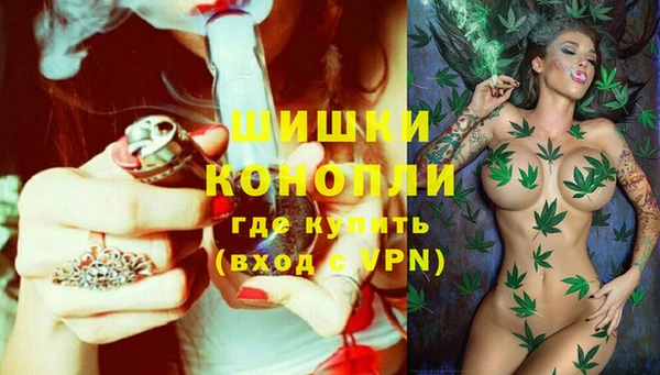 индика Арсеньев