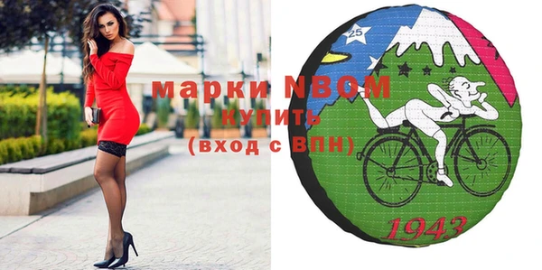 индика Арсеньев
