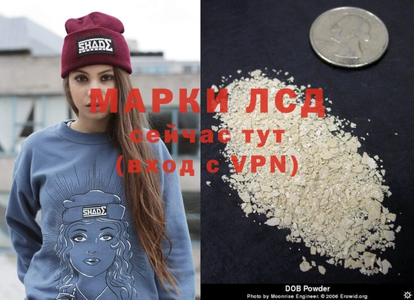 индика Арсеньев