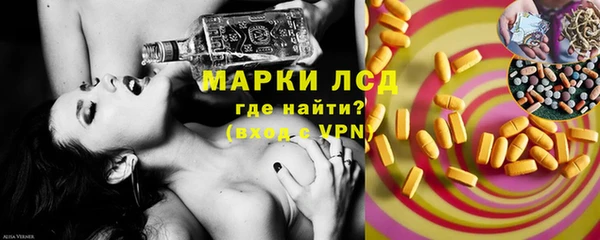 индика Арсеньев