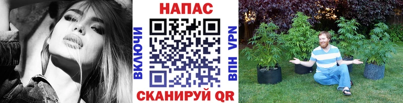 Бошки марихуана конопля  MEGA онион  Валдай 